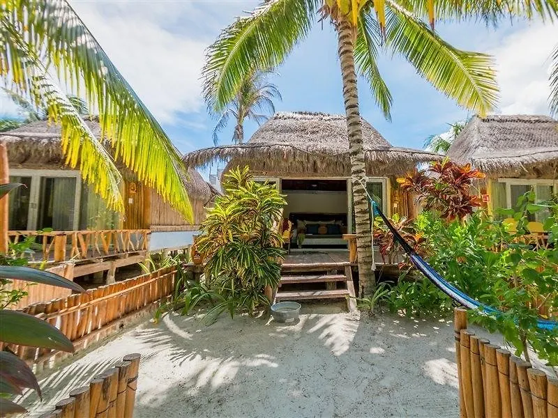 Villa Pescadores تولوم 3*,  المكسيك